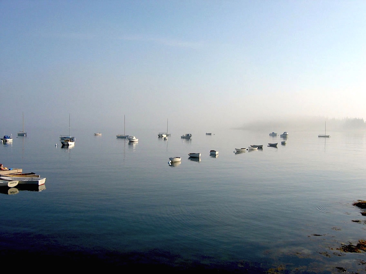 Dories at rest on a foggy morning in Maine